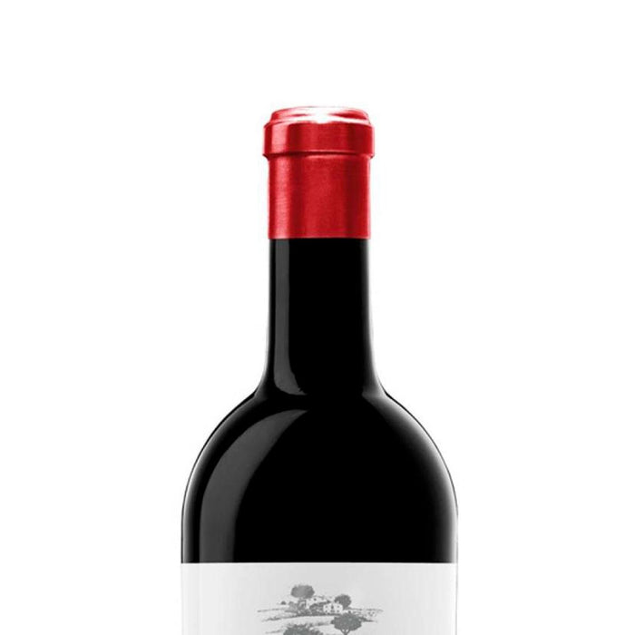 Vino Tinto Monteabellon Tempranillo 750 ml