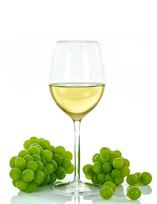 Caja de 12 Vino Blanco Marchile Sauvignon Blanc 750 ml