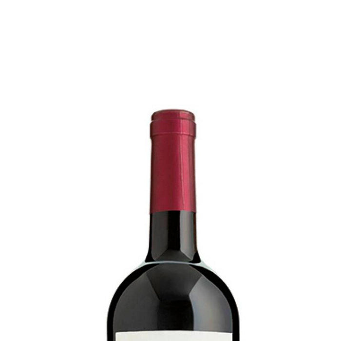 Vino Tinto Bliss Merlot 750 ml